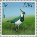 Northern Lapwing (Vanellus vanellus)